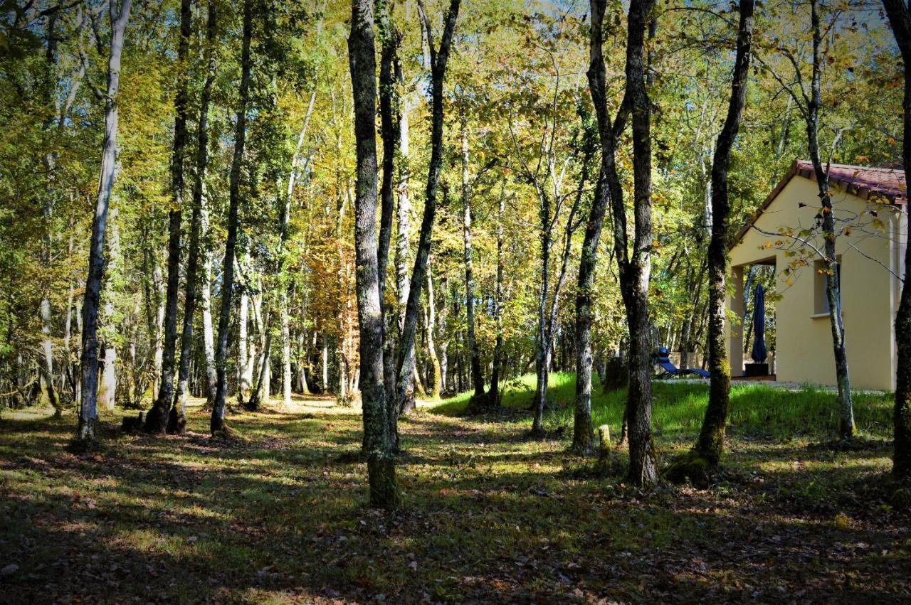 Gite Spa & Nature Saint-Chamassy Buitenkant foto